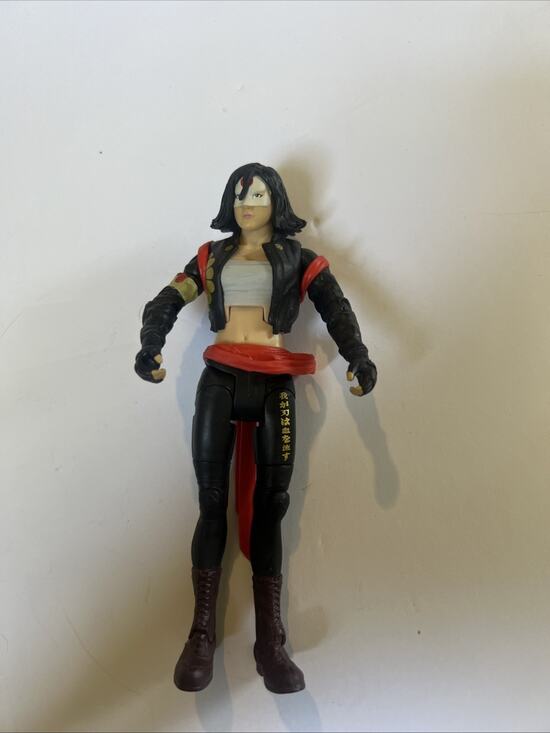 Mattel Other - DC Comics Multiverse Suicide Squad Katana Mattel DC Multiverse 6" Action Figure